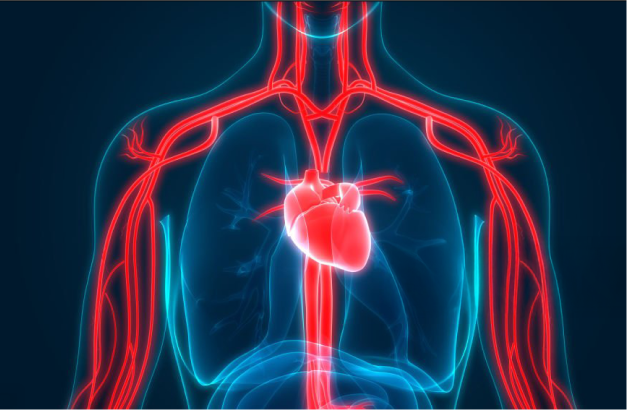 Healthier Thinner Blood From Grounding